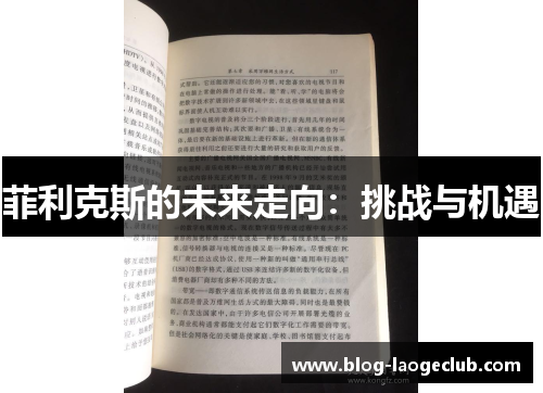 菲利克斯的未来走向:挑战与机遇 菲利克斯的未来走向:挑战与机遇