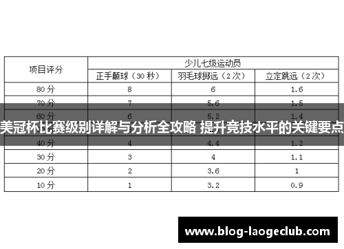 美冠杯比赛级别详解与分析全攻略 提升竞技水平的关键要点