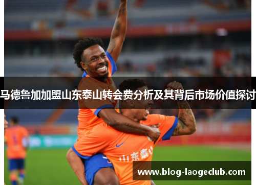 马德鲁加加盟山东泰山转会费分析及其背后市场价值探讨