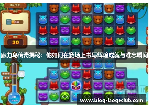 魔力鸟传奇揭秘：他如何在赛场上书写辉煌成就与难忘瞬间