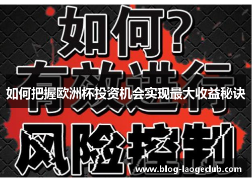 如何把握欧洲杯投资机会实现最大收益秘诀 如何把握欧洲杯投资机会实现最大收益秘诀